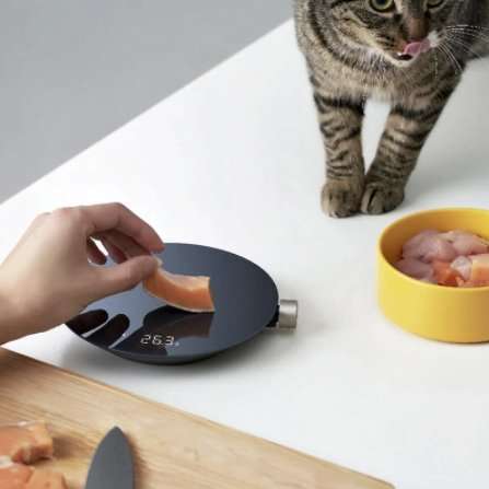 Digital Smart Kitchen Scale